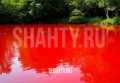 Вода в прудах стала бурой из-за шахтных вод шахты «Бургустинской» под Гуково