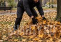 В г. Шахты мать погибшего участника СВО не могла получить выплату