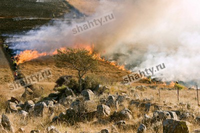 Число ландшафтных пожаров увеличилось в 5,5 раза в Ростовской области