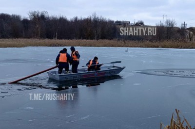 Спасли лебедя, который примерз ко льду в Ростовской области