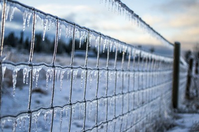 Жителей г. Шахты и области в МЧС предупредили о налипании мокрого снега