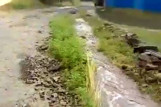 Ливень затопил дворы в городе Шахты [Видео]