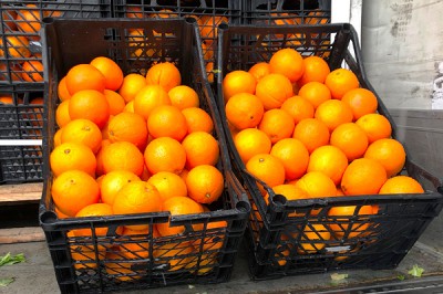 Уничтожили 4 тонны апельсинов в Ростовской области