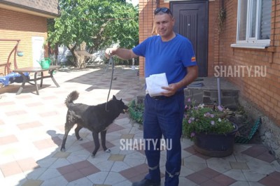 Собака защищала девочку от змеи в Ростовской области