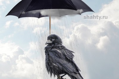 Погода в Шахтах на неделю: дождь во вторник, а затем придут морозы