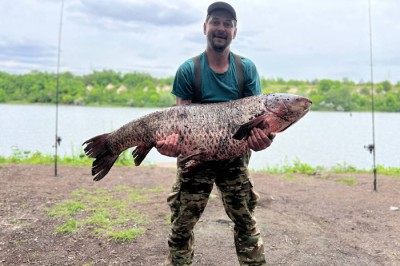 Рыбак выловил белого амура весом 34 кг в реке Северский Донец в Ростовской области: видео