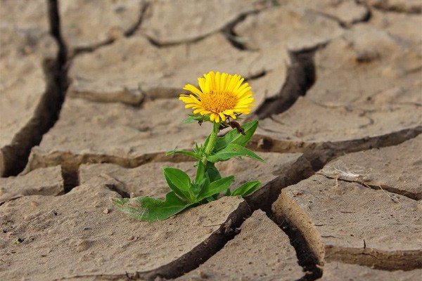 В Шахтах жара до +32 градусов сегодня и в среду