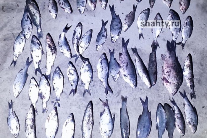 Браконьер выловил пауком 19 кг рыбы в Аксайском районе: и с уловом попался полицейским