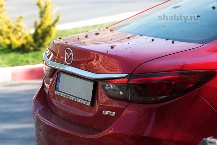 Мужчина повредил соседскую Mazda из-за парковочного места