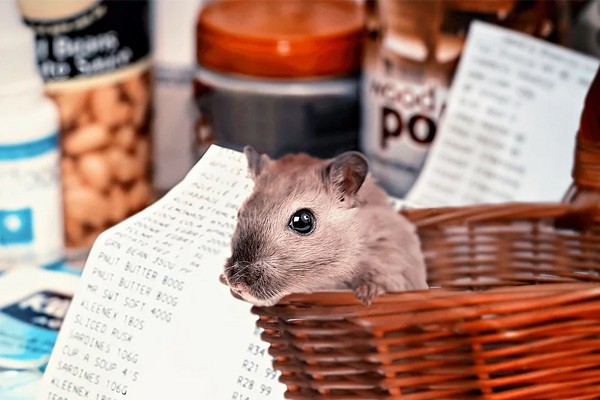 В г. Шахты продолжат работать предприятия — горожане жалуются