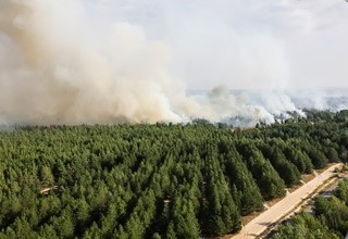 Локализован природный пожар в Усть-Донецком районе, выгорело 4870 Га [Фото]