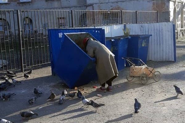 В г. Шахты старушка достает из мусорных баков хлеб и кормит голубей