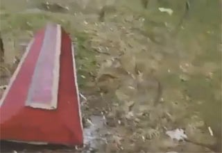 Нашли гроб в лесополосе рядом с трассой М-4 на Дону [Видео]