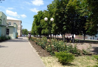 В г. Шахты ухаживают за цветочными клумбами на улицах и в Александровском парке