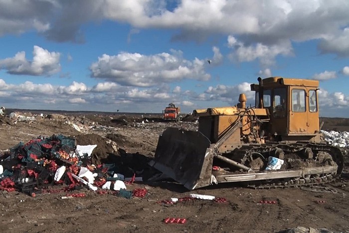 В Ростовской области раздавили 610 кг персиков