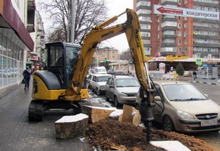 В центре г. Шахты удалят 100 пней, чтобы посадить новые деревья