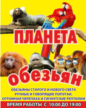 Выставка «Планета обезьян» в музее г. Шахты — , г. Шахты