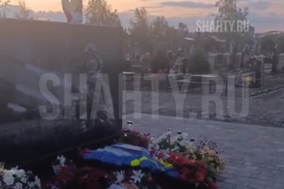 Вандалы вырвали все туи на аллее героев в Азове