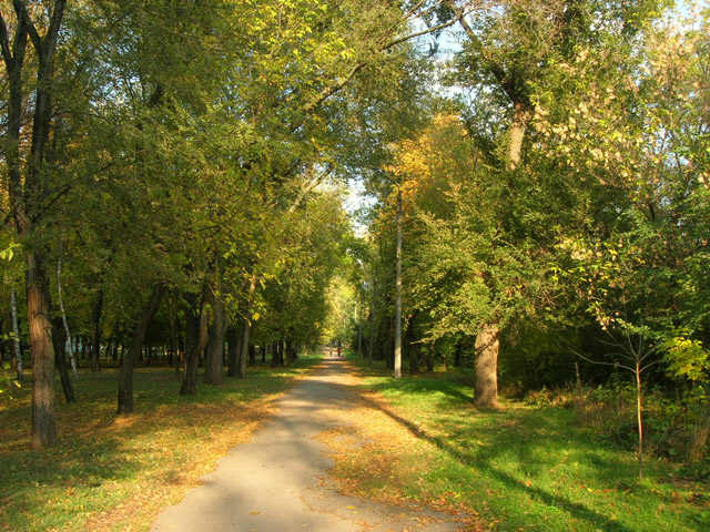 Городской парк, Шахты - Шахты