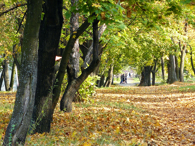 Городской парк, Шахты