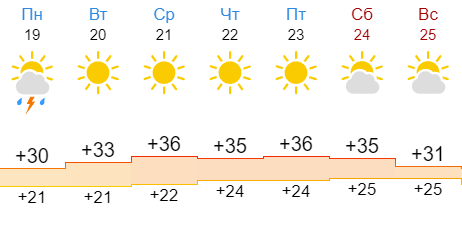 Погода в шахтах ростовской на месяц. Погода 36 градусов. Погода -36. Погода +36градусов в июле фото. Жара осенью 35 градусов погода Шахты.