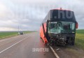 Погиб водитель легковушки, влетев в автобус с туристами в Ростовской области