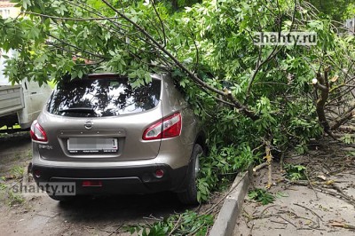 В Шахтах рухнуло дерево на иномарку на Чернокозова