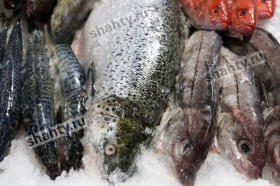 В Шахтах самая дорогая мороженая неразделанная рыба в Ростовской области