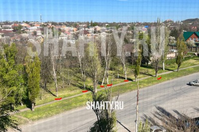 В г. Шахты на ХБК много сухих тополей: горожане волнуются