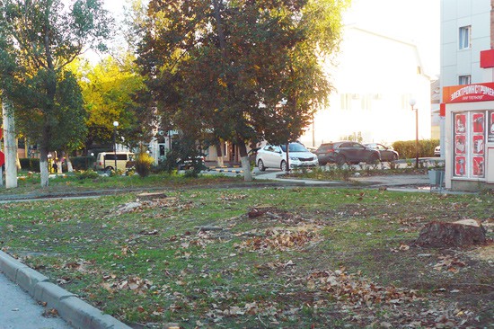 В г. Шахты спилили деревья на Садовой около Дворца культуры [Фото]