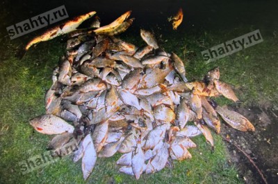Браконьер выловил сетями 160 щук, судаков, рыбцов и лещей в Ростовской области