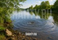 Утонул на Дону, пытаясь спасти друга на реке в Ростовской области