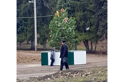 В г. Шахты появилась смешная елка