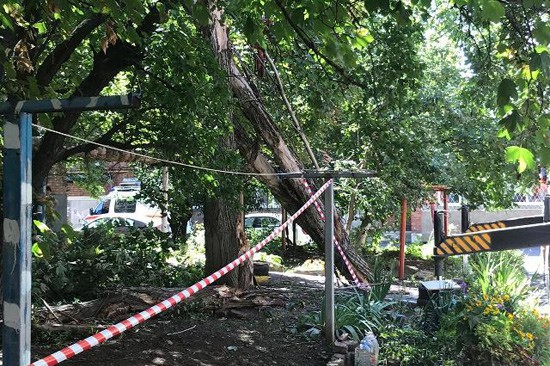 В г. Шахты убрали рухнувшие аварийные деревья