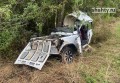 Погибла 32-летняя пассажирка: водитель врезался в дерево на дороге в Ростовской области