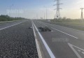 Пострадали водитель и пассажирка мотоцикла на трассе в Ростовской области
