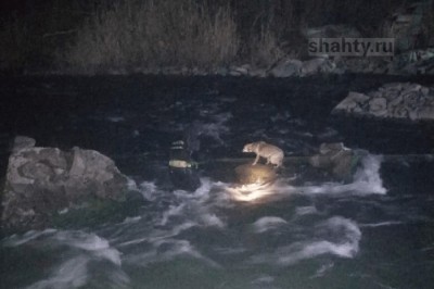 Водолаз спас собаку, оказавшуюся посреди реки на остатках разрушенного моста