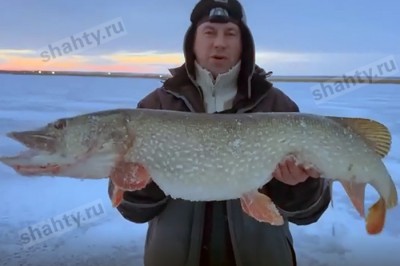 Крупную щуку поймал на рыбалке житель Ростовской области