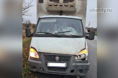 Пешеход погиб под колесами «Газели» в Ростовской области