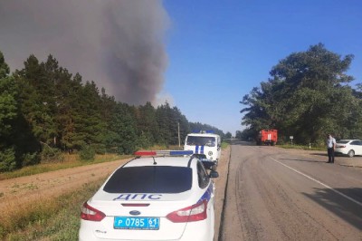 Вновь выгорел лес на площади 54 гектара в Каменском районе