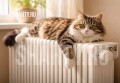 Когда отключат отопление в Шахтах?