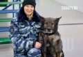 Настоящий герой: служебная собака МВД завершила карьеру в Ростовской области