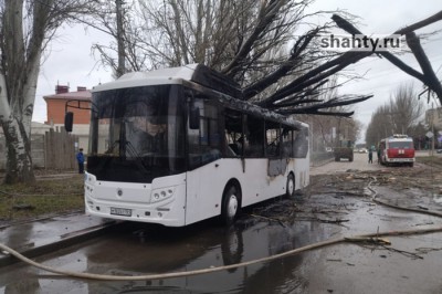 Упало дерево на автобус с пассажирами в Таганроге: произошло возгорание