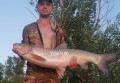 Поймал в Дону белого амура почти на 12 кг рыбак в Ростовской области