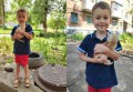 В г. Шахты спас котенка пятилетний мальчик Тимофей