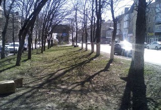 В г. Шахты очистили газон от мусора на проспекте Победа Революции [Фото]