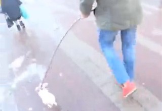 Пранкер с дохлой курицей приставал к прохожим в Ростове [Видео]