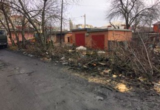 В Шахтах незаконно вырубили деревья на улице Смидовича [Фото]