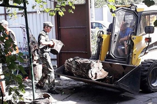 В г. Шахты бесплатно провели уборку двора владельцу «Арт салона Роговых»