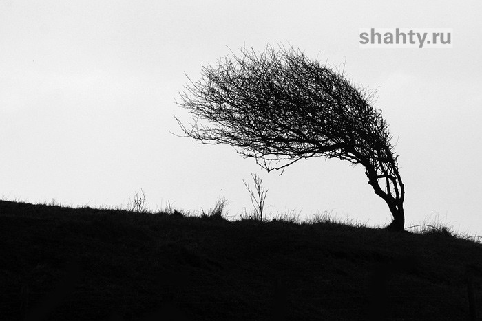 В воскресенье в Шахтах обещают ураганный ветер, а в понедельник — сильный дождь